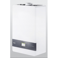 Caldaia A Condensanzione Riello Modello Family 30 Kis Metano/gpl A Basse Emissioni Nox Con Kit Scarico Fumi-new MODEL 